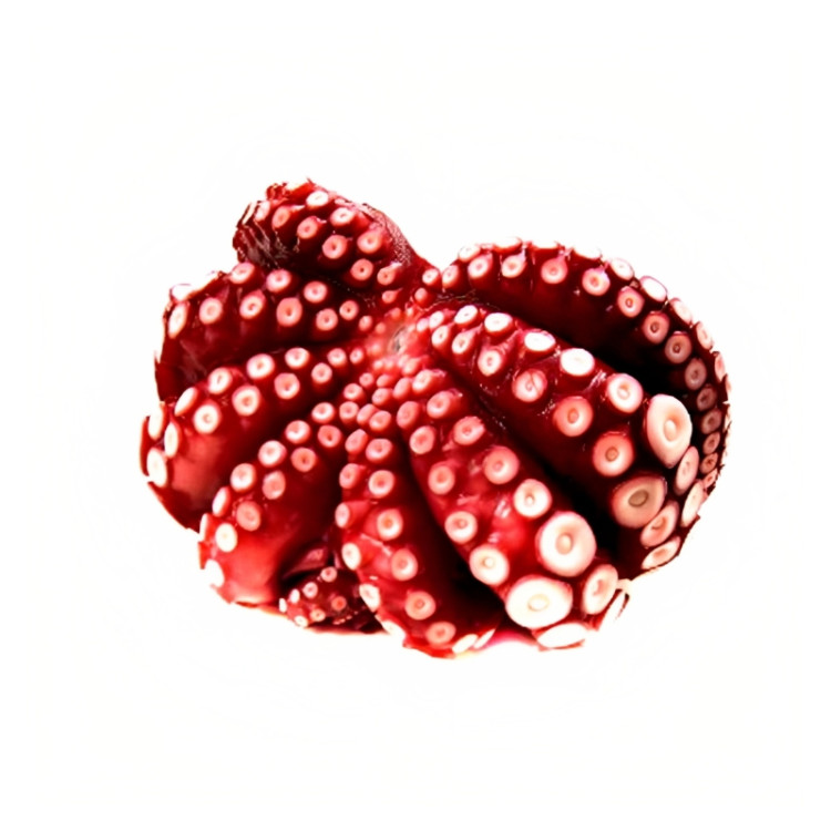 Осьминог целый свежемор.,1 кг